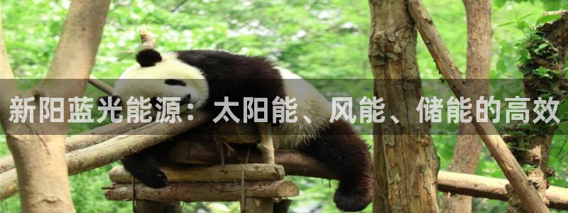 申博app下载