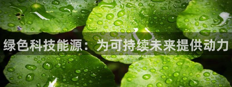 sunbet首页登录入口