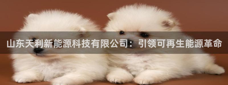 sunbet手机app版