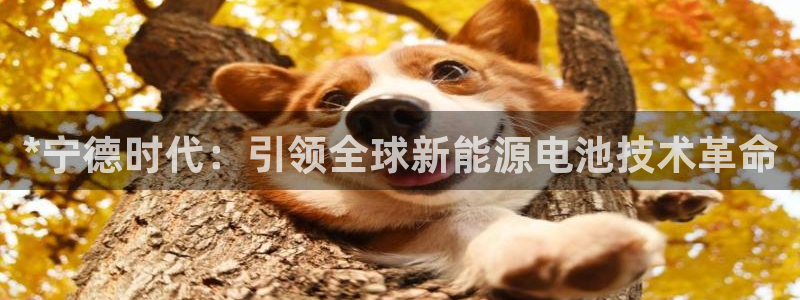 sunbet申搏平台