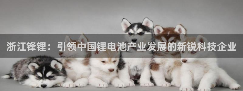 sunbet申搏官网