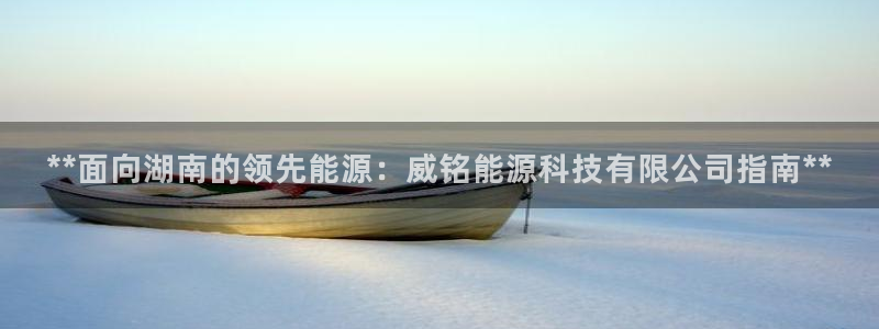 申博视讯