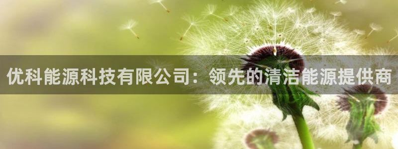 sunbet首页登录入口