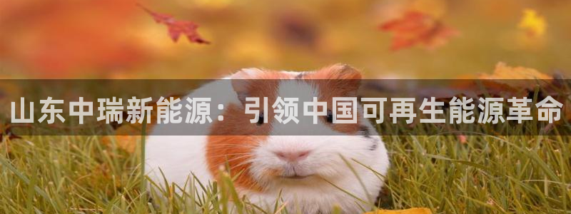 sunbet中国官网