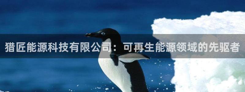 sunbet最新消息