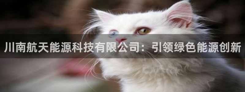 sunbet靠谱吗