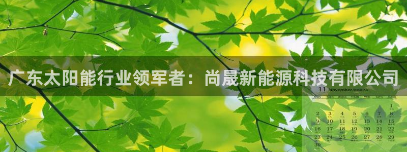 sunbet官网welcome