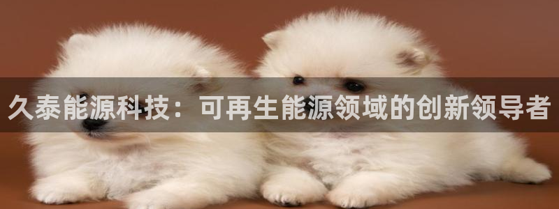 sunbet程序