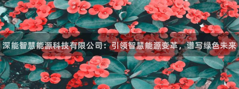 申慱sunbet手机版登