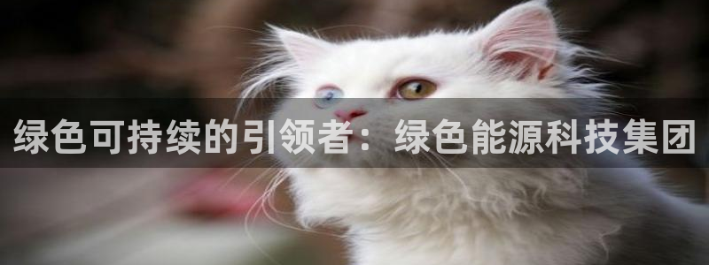 申博视讯