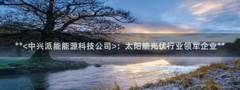 sunbet游戏地址