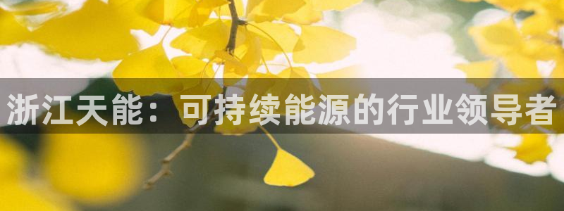 申博官网手机版下载app