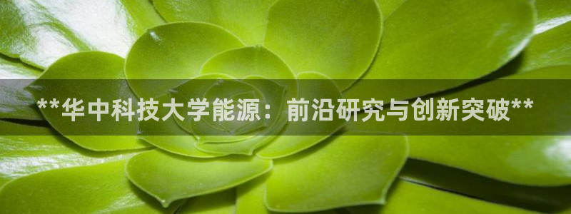 sunbet手机端