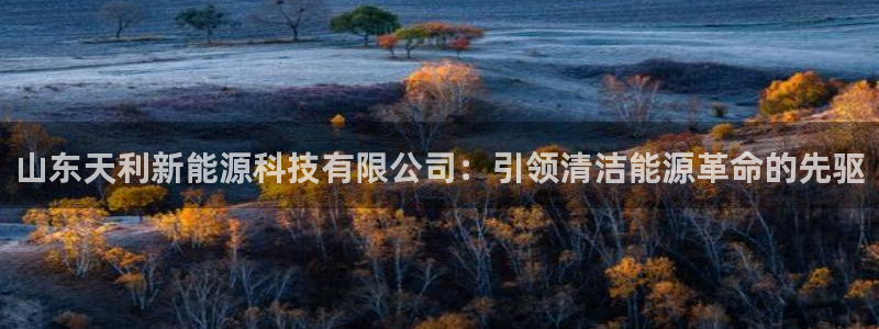 sunbet源码
