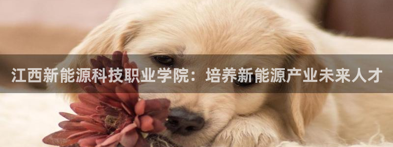 申博官方网站手机版下载
