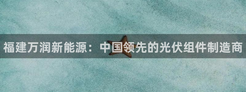 sunbet程序