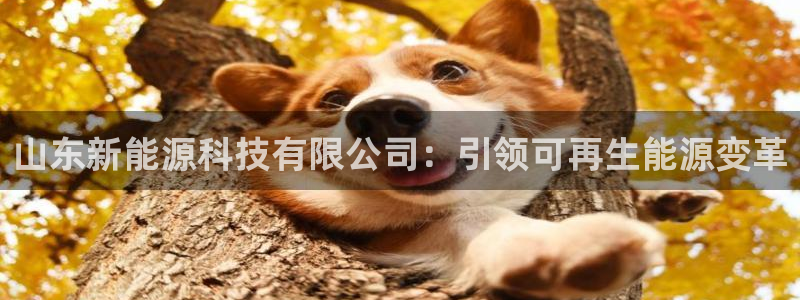 sunbet手机网页版下载