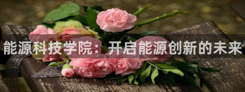 sunbet手机网页版下载