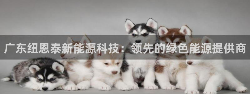 申博手机网址