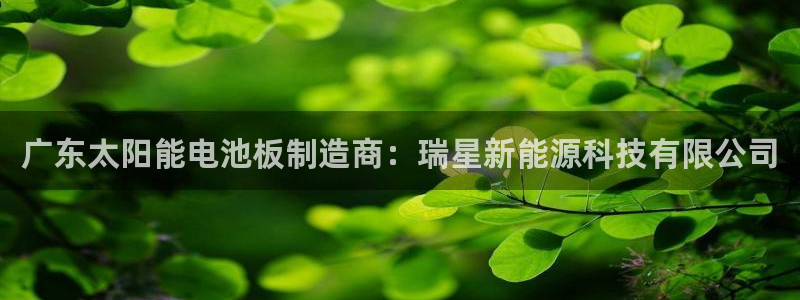 sunbet官网手机版
