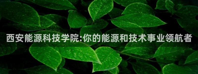 申博手机版官网