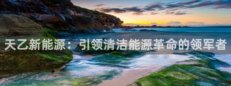 sunbet官网手机版登录