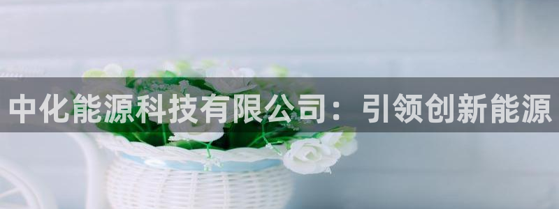 sunbet燃气灶