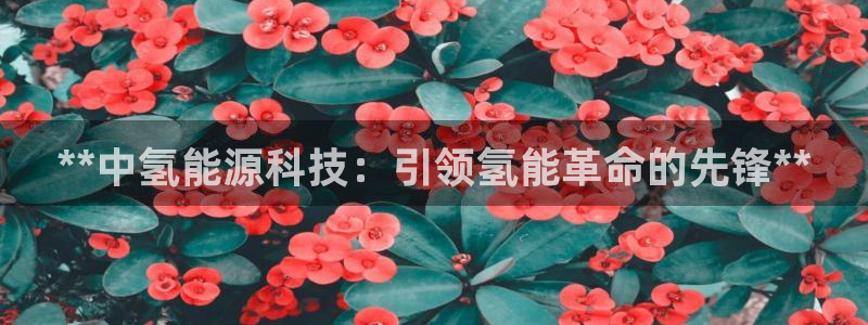 下载申搏sunbet并安装app