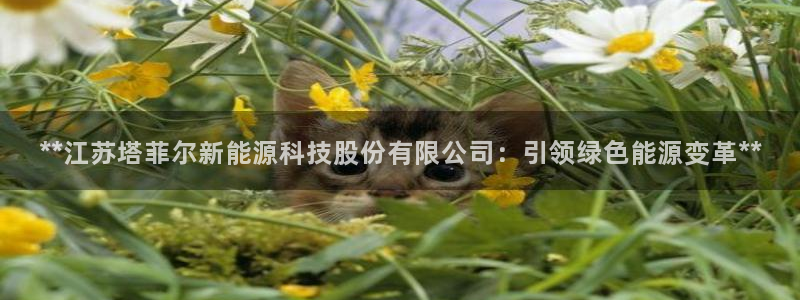 sunbet官网手机版登录