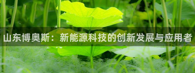 sunbet中国官网