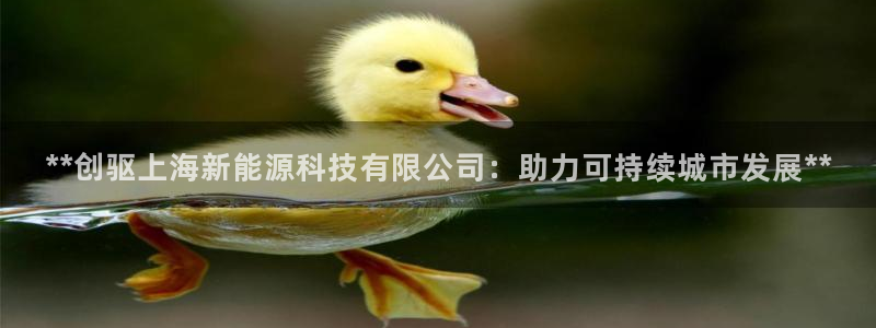 sunbet苹果app