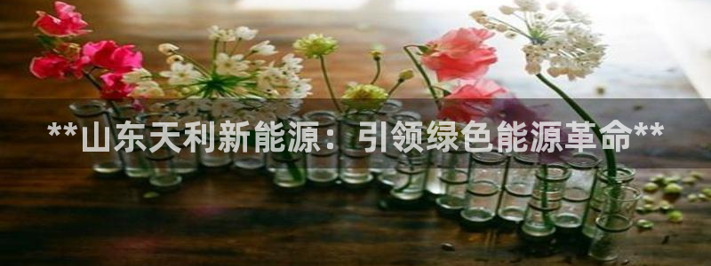 sunbet源码