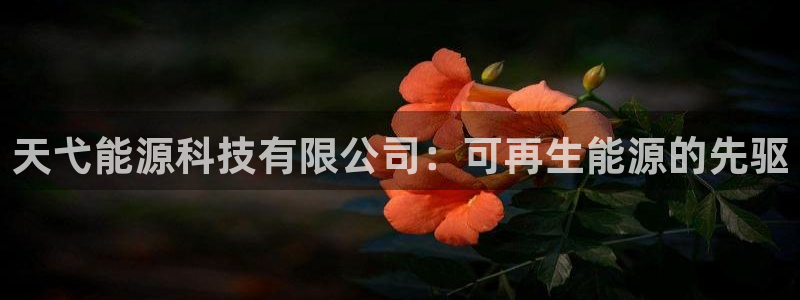 sunbet手机版官网下载
