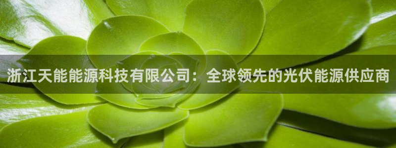 申博官方网站