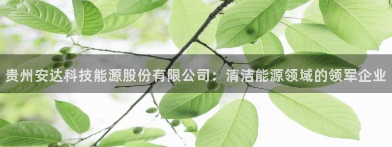 sunbet中国官网