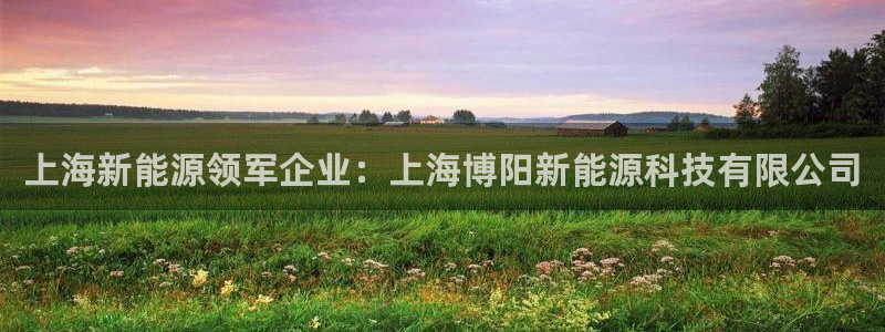 sunbet官网代理下载