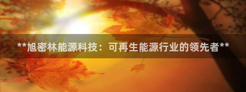 申博官网电脑版下载