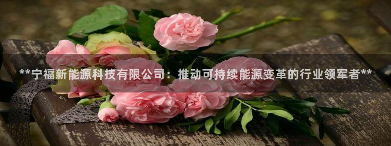 sunbet申搏官方网站