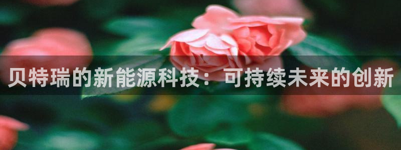 sunbet苹果app