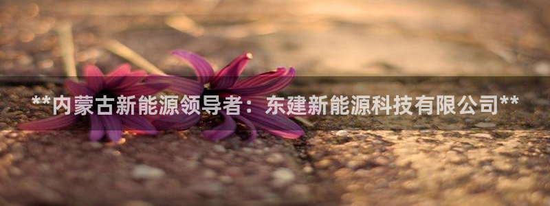 申慱sunbet手机版登