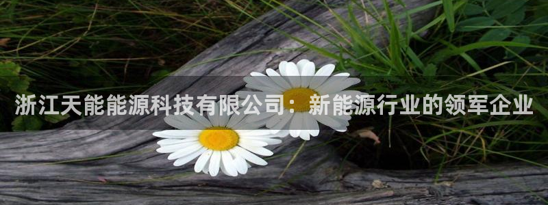 sunbet燃气灶