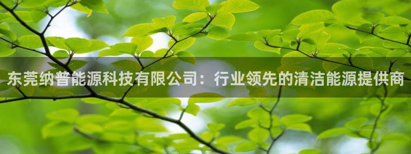 sunbet游戏最新版