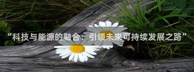 sunbet游戏网