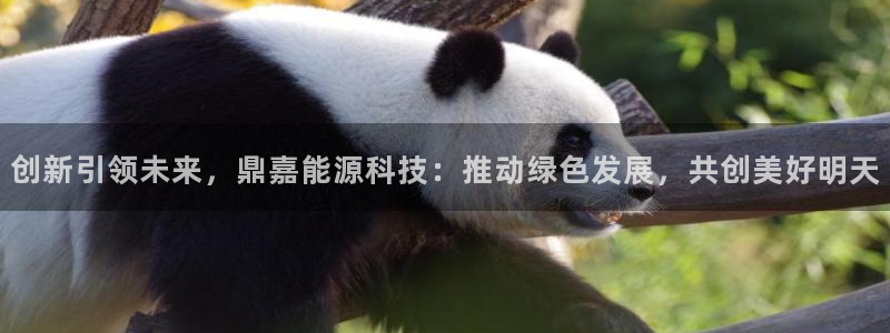 进入sunbet官网手机版登陆