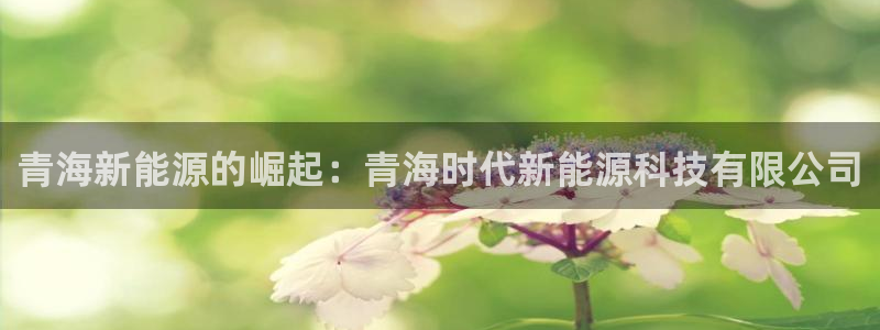 sunbet最新登陆