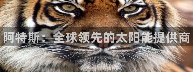sunbething怎么读