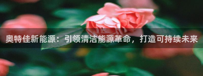 申慱sunbet手机版登