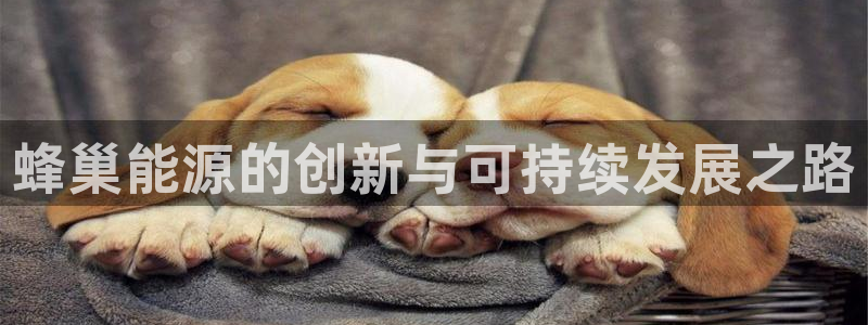 sunbet靠谱吗