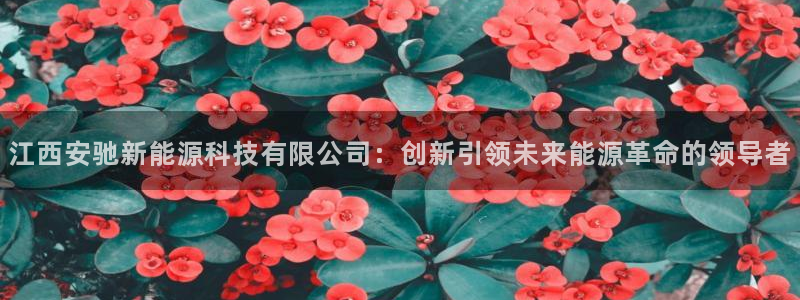 sunbet苹果官网下载