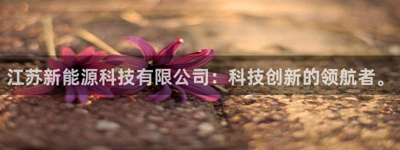 sunbet中国官网